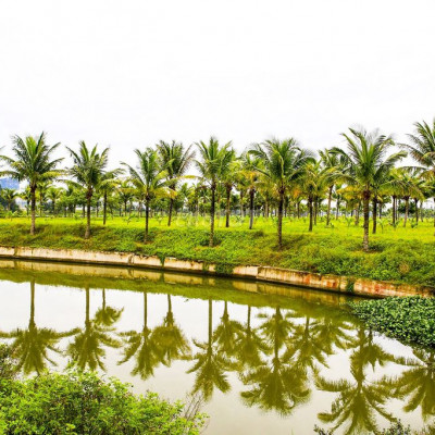 Chuyển nhượng lô KĐT 1B - KĐT Số 3 Điện Ngọc Quảng Nam