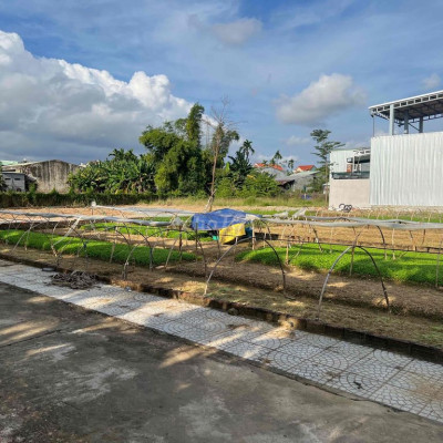 Đất khu đô thị trung tâm thị trấn 500 triệu sở hữu 150m2 (ngang 7.5m)