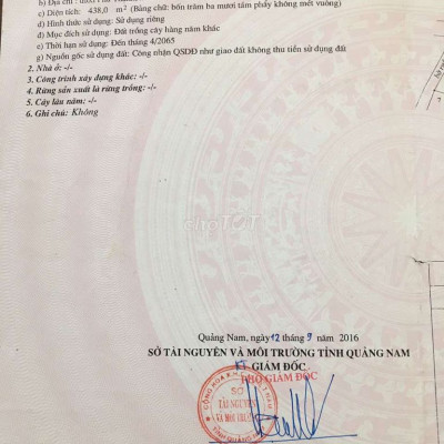 💥♥️♥️bán rẻ bds trồng cây tam kì giá rẻ 💥♥️♥️