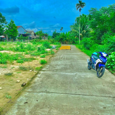 ÔNG ANH CÓ LÔ ĐẤT VƯỜN 1200M2 Ở ĐIỆN TIẾN CẦN BÁN NHANH.