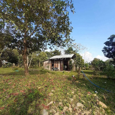 Bán đất tặng nhà gỗ 578m2 có 400m2 đất ở giá vài trăm triệu