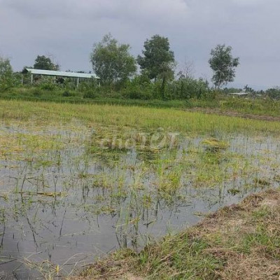 Cần tiền bán lô đất vườn cách thị trấn hà lam 2km