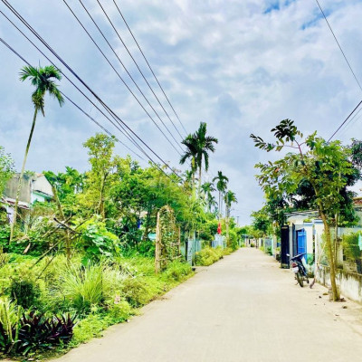 Bán gấp đất gần chợ Phong Thử - Đường chính 5.5m