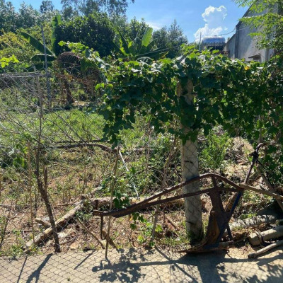 Chính chủ bán nhanh lô đất quảng nam gần chợ trường học giá rẻ