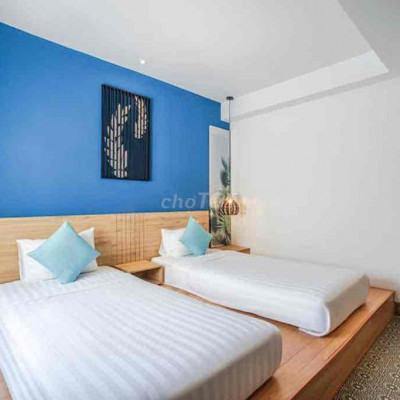 HỘI AN HOTEL MT SÔNG GIÁ RẺ 14.5 TỶ GIẢM NGAY 3 Tỷ MT NGUYỄN DU