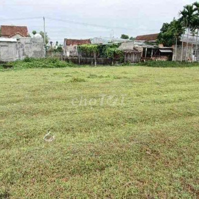 733m2 phủ hồng tại phường Trường Xuân: 379tr!