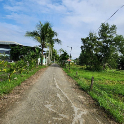 Thanh lí lô View sông gần chợ giá chỉ 570tr/234m2- Gồm 200m2 đất ở