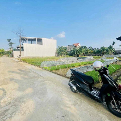 Bao sổ đất trung tâm thị trấn diện tích biệt thự 150m2 ngang 9m.