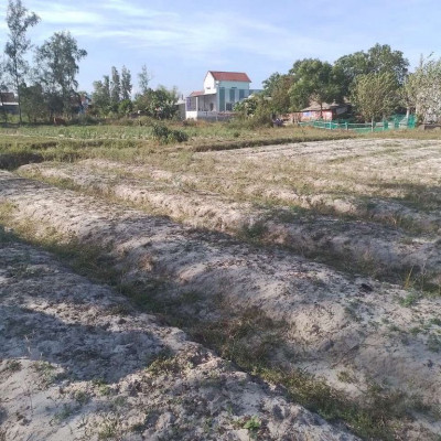 Cần bán 1 xào đất hoa màu BHK Thăng bình