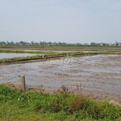 Bán hơn 900 mét vuông đất chỉ 165tr ở Thăng Bình