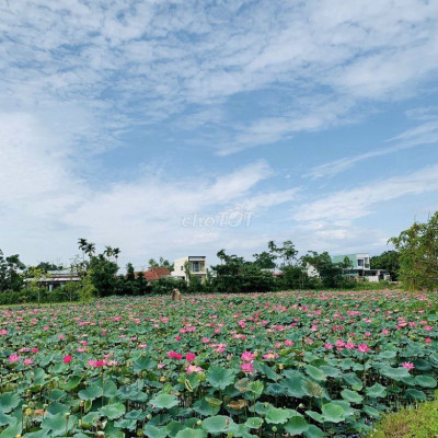 Điện Tiến gần đầm sen chỉ 520 sổ hồng riêng có 2 lô liền kề