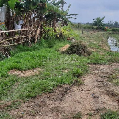 Chào bán 600m2 đất xã Bình Quý Thăng Bình Quảng Nam