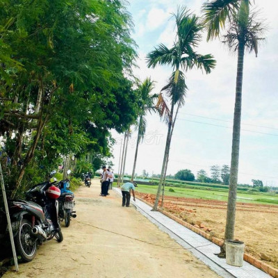 Cần bán lô LK6 gần chợ Lạc Thành, Điện Hông