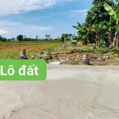 ♥️💥💥bán rẻ lô điện an, điện bàn.☎️☎️☎️