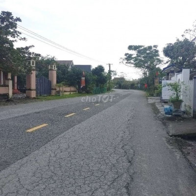 Đất giá rẻ trước tết