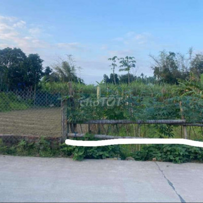 💥♥️♥️bán rẻ lô nhị dinh điện phước quảng nam.☎️☎️☎️l