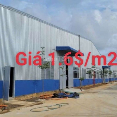 Cho thuê xưởng trong KCN tại Quảng Nam miễn thuế doanh nghiệp