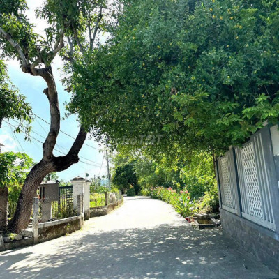 Chỉ 5xxtr bán nhanh 210m2 đất gần chợ Lệ Trạch đường betong 5m