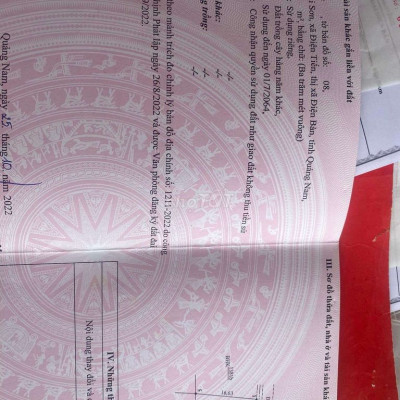 ♥️💥💥bán rẻ lô trồng cây hàng năm điện tiến.☎️☎️☎️