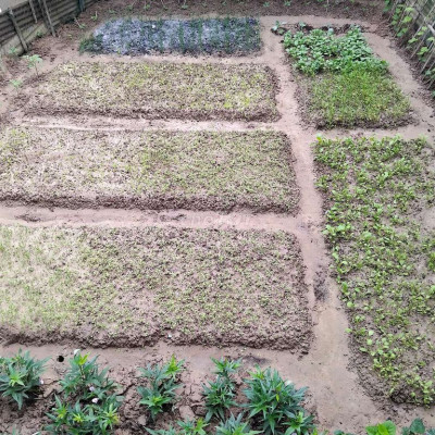 Đất Điện Phong, Điện Trung , Điện Quang