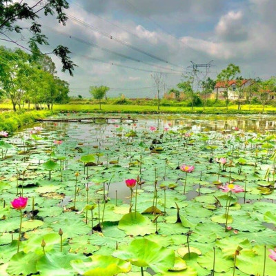 Bán lô đất Điện Tiến 138m2 ngang 7m, bỏ ra 500tr sở hữu lô đất.