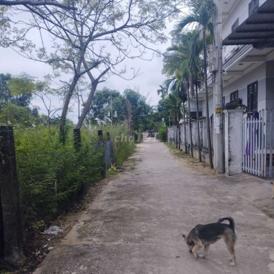 BÊ TÔNG CHÍNH ĐIỆN NAM BẮC_ GẦN KCN