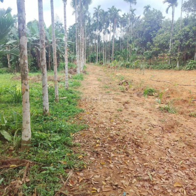 E chào bán lô đât vườn có DT hơn 6 sào 3000mv có 300m2 đất ở