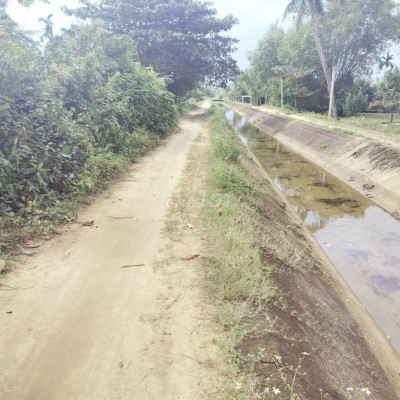 Hơn 1000m2 đất vuờn Tam Xuân 1, thuộc Bích Trung, có 200m2 đất ở..