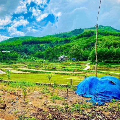 bán lô đất vườn có diện tích hơn 800mv có 150m2 đất ở,