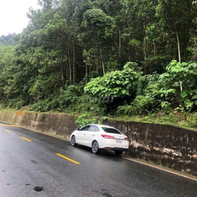 Bán lô đất rừng mặt tiền đường nhựa quốc lộ 14b nam giang 3 hecta