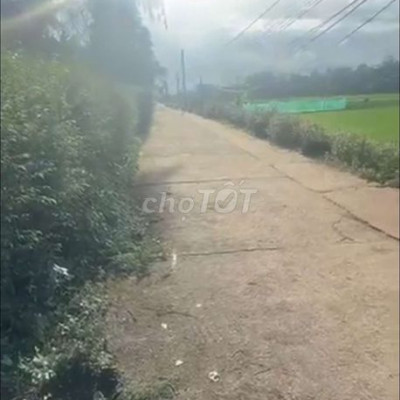 Chào bán lô đất 800m2 có 300m2 đất ở, tách được 4 lô nè