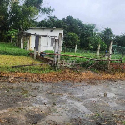 💥♥️♥️bán rẻ lô điện quang, điện bàn 💥💥