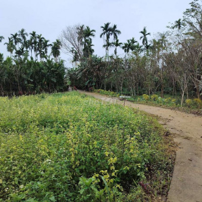 cần bán  vườn  cây ăn quả ao cá 8000m2 có 800 đất ở.hàng rào thép gai