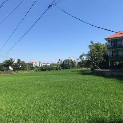220m đất view lúa an mỹ cẩm châu