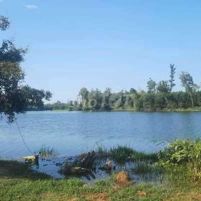 cần bán lô đất vườn view sông Phú Bình ,Tam xuân 1 cạnh tam Kỳ