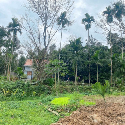 Bán nhà vườn 2700m2 có 300 đất ở phù hợp nghĩ dưỡng đầu tư lâu dài