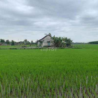 Cần bán 2 lô liền kề giá 300 triệu trước tết