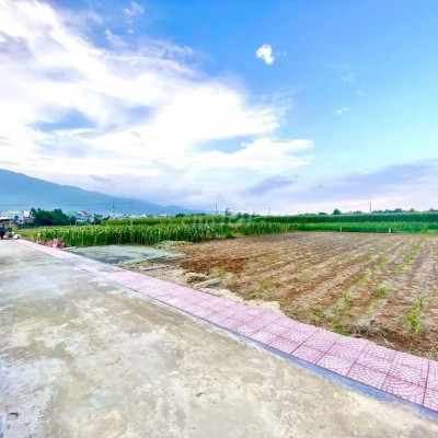 Bán nhanh 4 lô đất thôn phú hương xã đại Quang Giá ngày thần tài