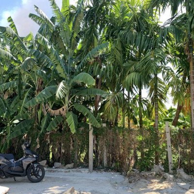 Ra gấp lô đất quý thạnh 2,xã Bình Quý giá sụp hầm