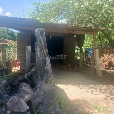 Cần bán đất có nhà cấp 4  đường ql24c sát thị trấn Bắc trà My