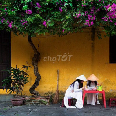 MT An Dương Vương , Thanh Hà, Hội An, Quảng Nam