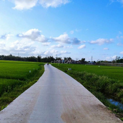 Nhà vườn TAM THÁI DT 400m...Hậu nở bự...Cách UBND xã 1.2km.