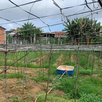 đất Phước Tân cần bán