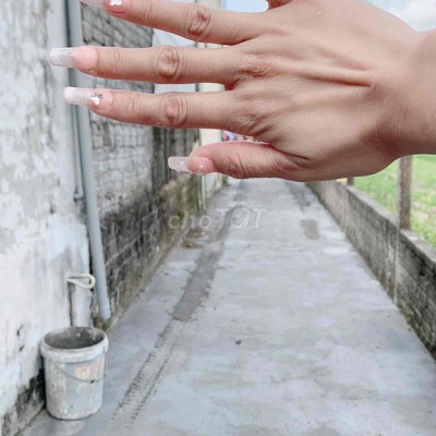 kiệt Tứ Ngân gần Mai Đăng Chơn