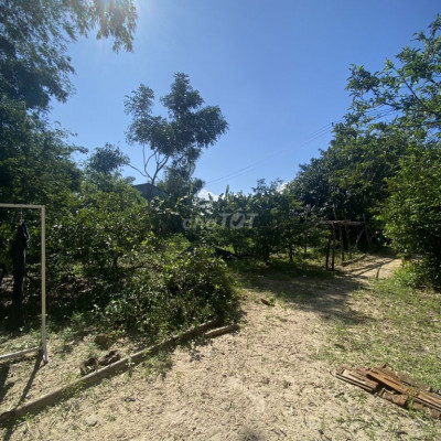 Chính chủ cần tiền bán lô đất Kim Đới cách KCN Tam Thăng 3km giá rẻ