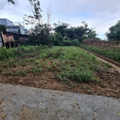 LÔ ĐÔI NGANG 10M_300m2 đường 5m ngay chợ ĐIỆN PHONG