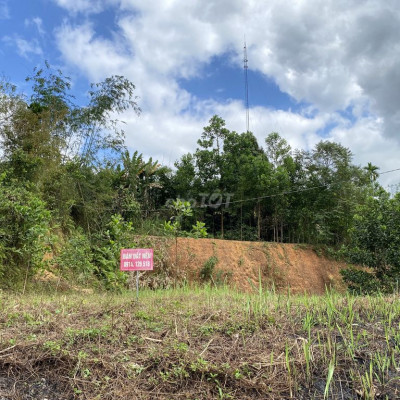 Bán đất 903m2 tại Trà Mai, Nam Trà My, Quảng Nam