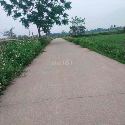 LÔ GÓC XUÂN DIỆM ĐIỆN TIẾN CHI CÓ 500TR