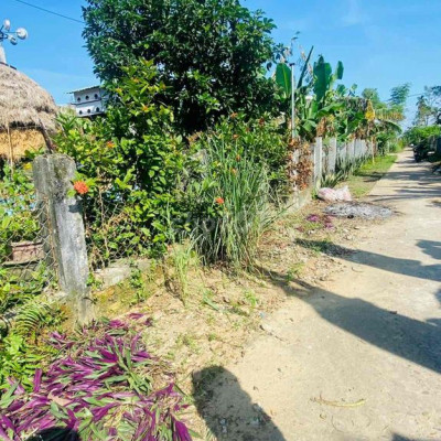 RẺ NHẤT ĐIỆN QUANG