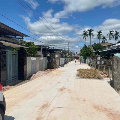 ĐƯỜNG BÊ TÔNG 5M NHỊ DINH - ĐIỆN PHƯỚC